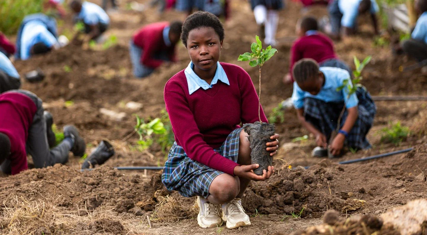 student holding a tree seedling during a school tree-planting activity