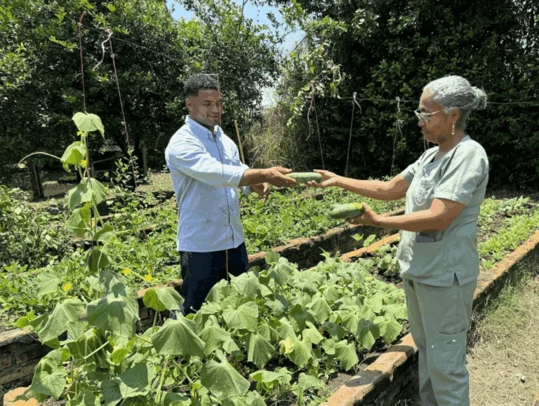 a man and woman stand in a garden exchanging freshly picked cucumbers, surrounded by green plants and raised garden beds.