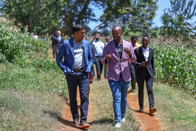 a group of people walk through a farm field while discussing crops during a site visit